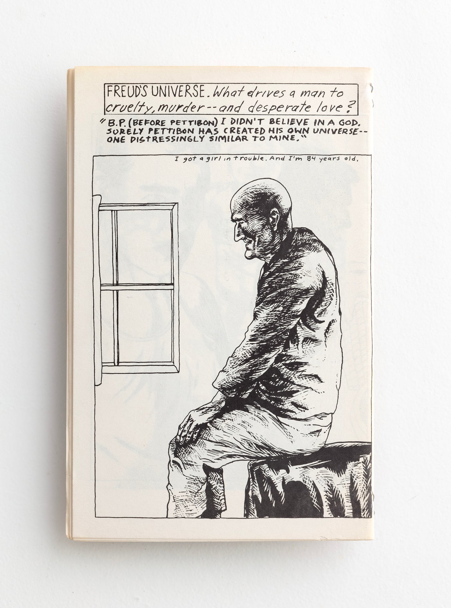 RAYMOND PETTIBON / Freud's Universe