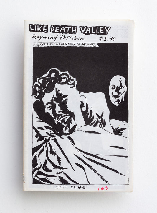 RAYMOND PETTIBON / Like Death Valley