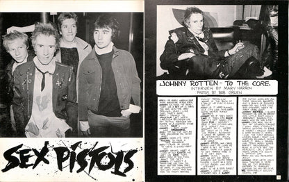 SEX PISTOLS / PUNK #8