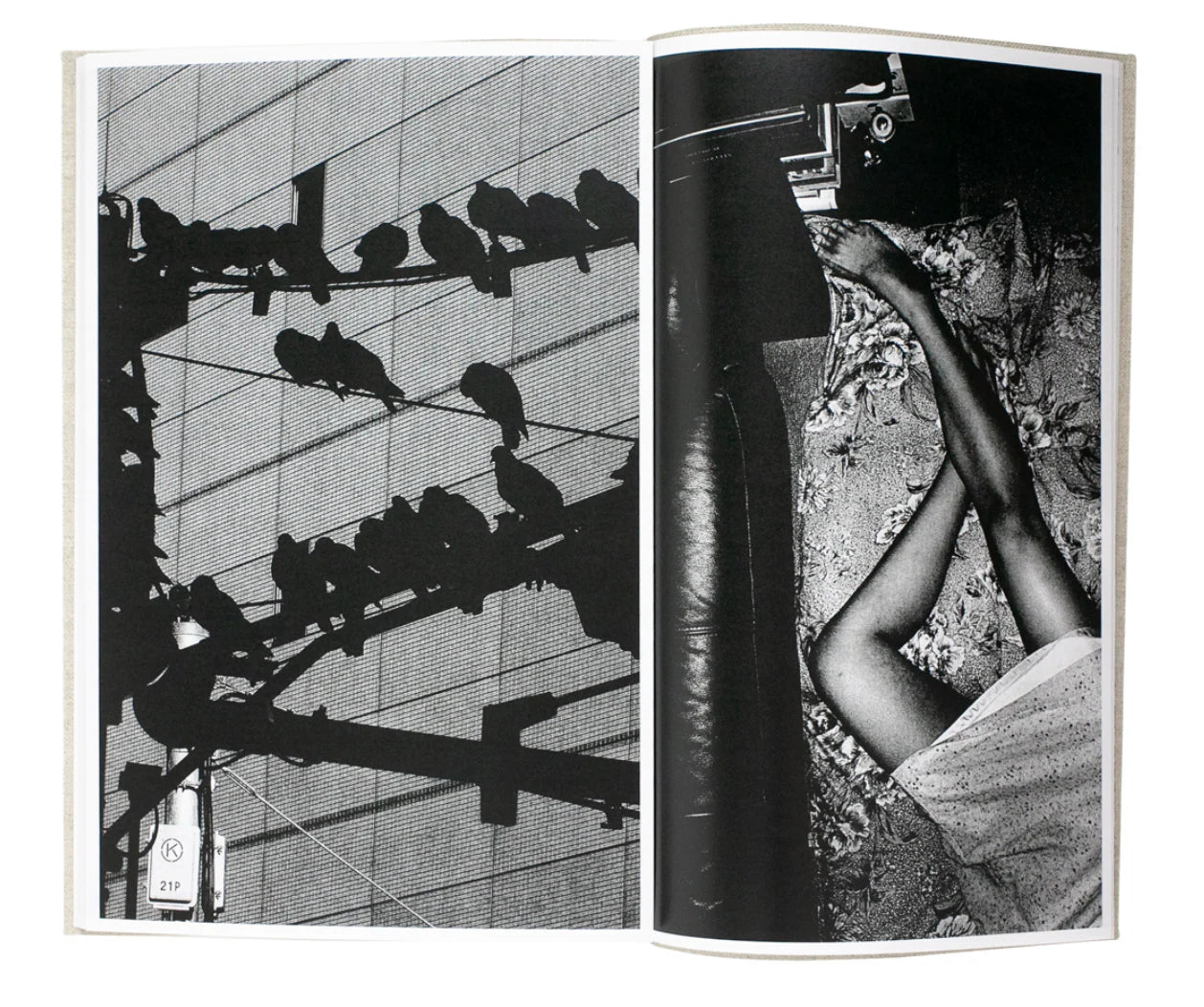 DAIDO MORIYAMA / Hiroko