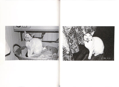 NOBUYOSHI ARAKI / Chiro, My Love