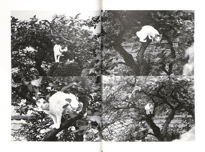 NOBUYOSHI ARAKI / Chiro, My Love