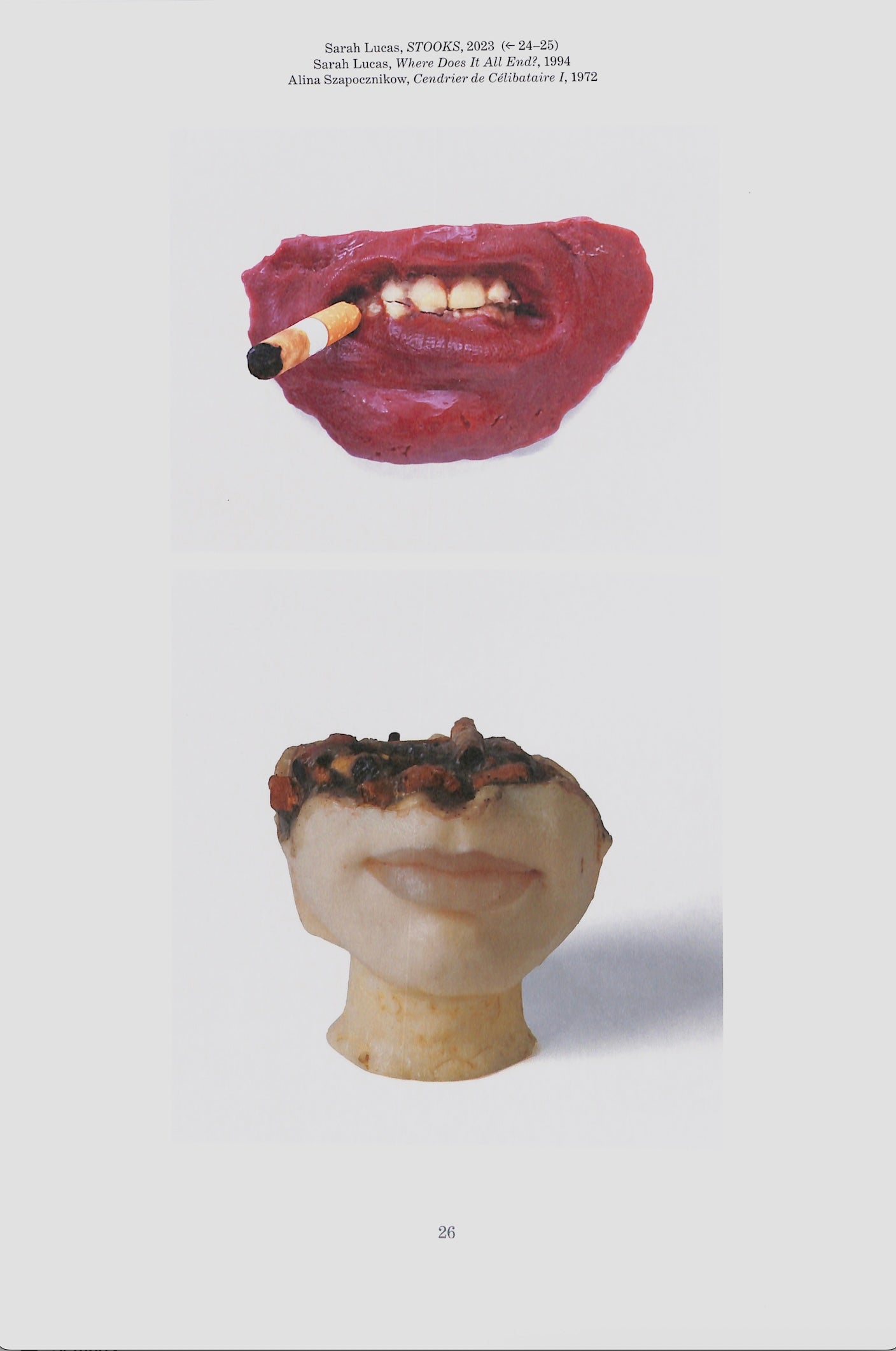 SARAH LUCAS / Sense of Human
