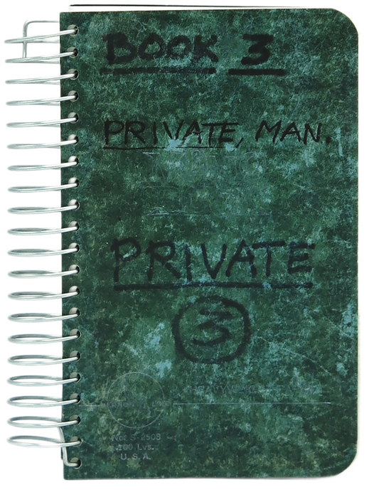 LEE LOZANO / Private book #3